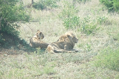 0235-Reis Zuid-Afrika2007